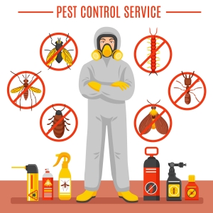 The Importance of Pest Control Services in Perth